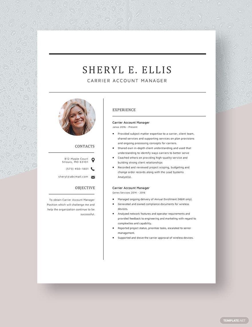 Free Carrier Account Manager Resume in Word, Apple Pages