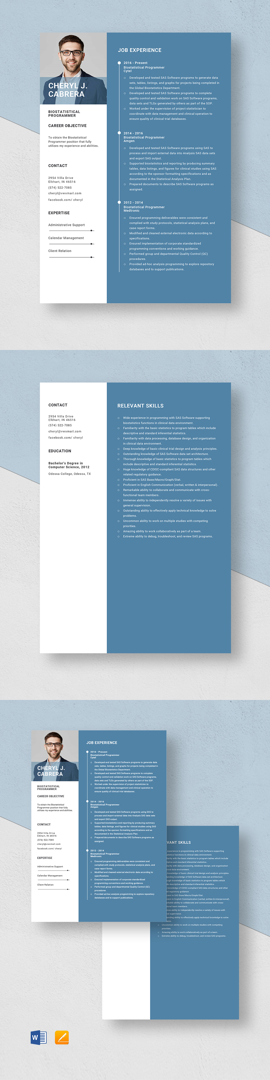 data-programmer-resume-template-word-apple-pages-template