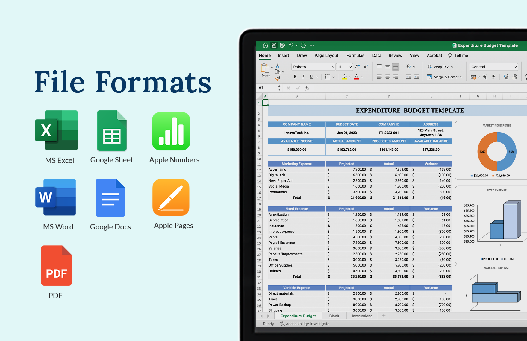 Expenditure Budget Template