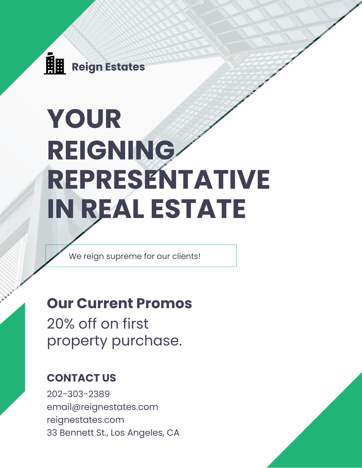 Real Estate Agent /Agency Marketing Flyer