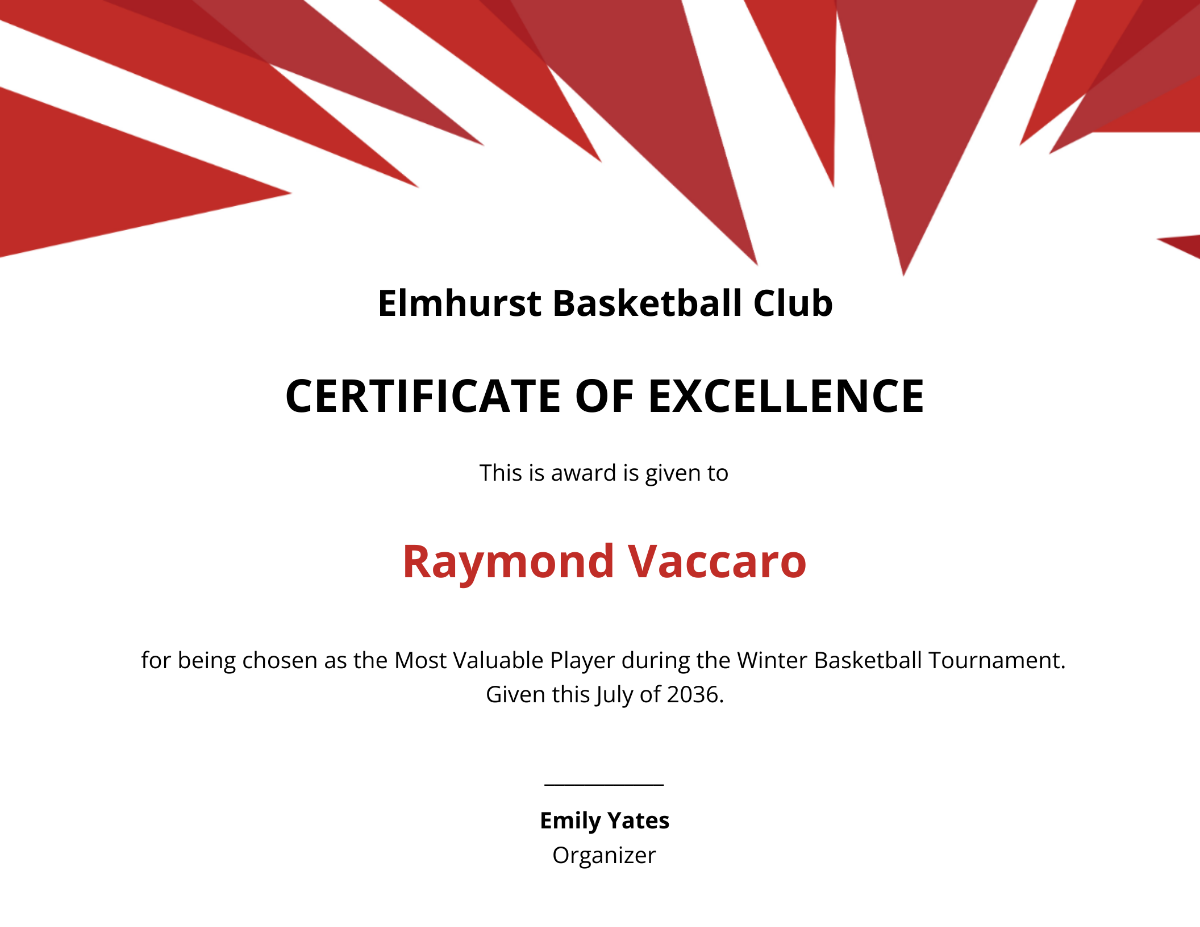 Excellence Certificate for Basketball