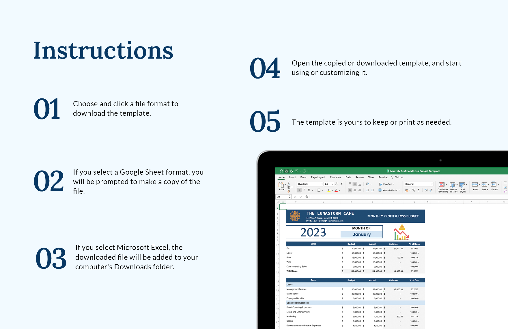 Monthly Profit and Loss Budget Template 