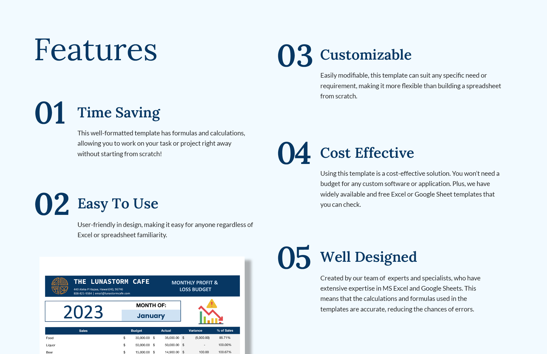 Monthly Profit and Loss Budget Template 