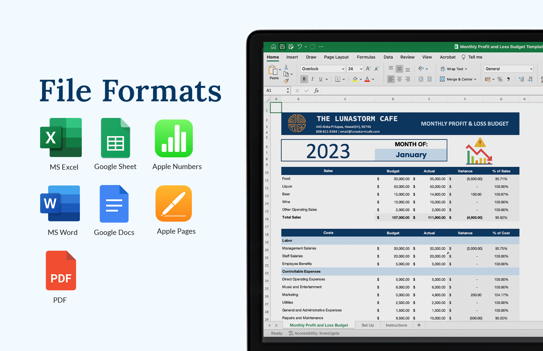 Monthly Profit and Loss Budget Template 