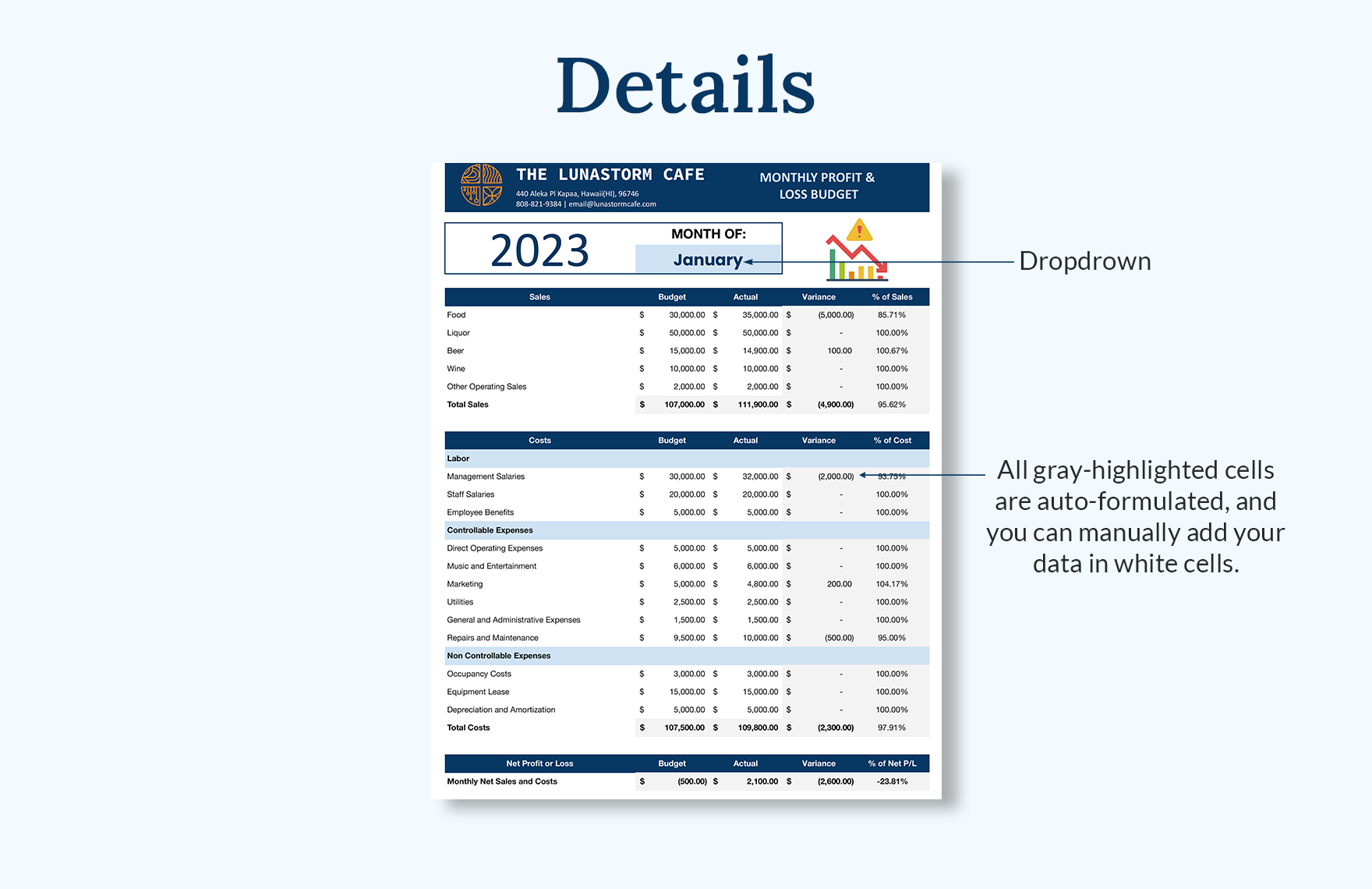 Monthly Profit and Loss Budget Template 