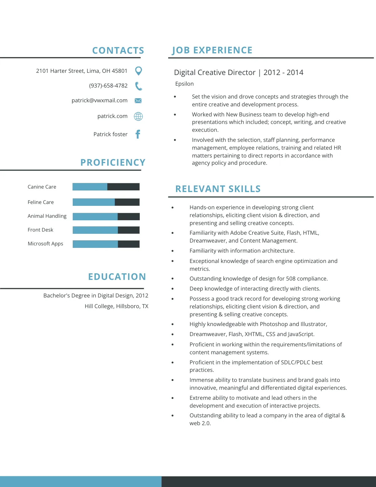 Free Digital Creative Director Resume Template to Edit Online
