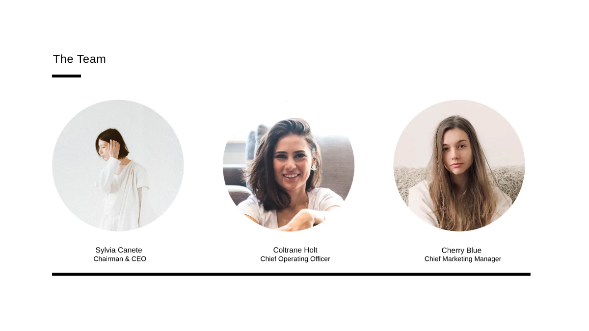 Free Modern Power Point Presentation Template to Edit Online