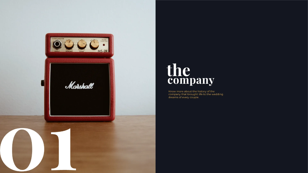 Free Fundraising Presentation Template to Edit Online