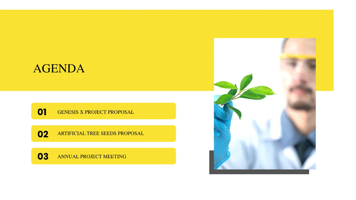 Free Project Proposal Presentation Template to Edit Online