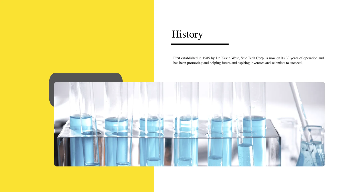 Free Project Proposal Presentation Template to Edit Online