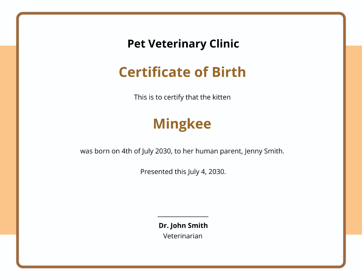 Kitten Cat Certificate