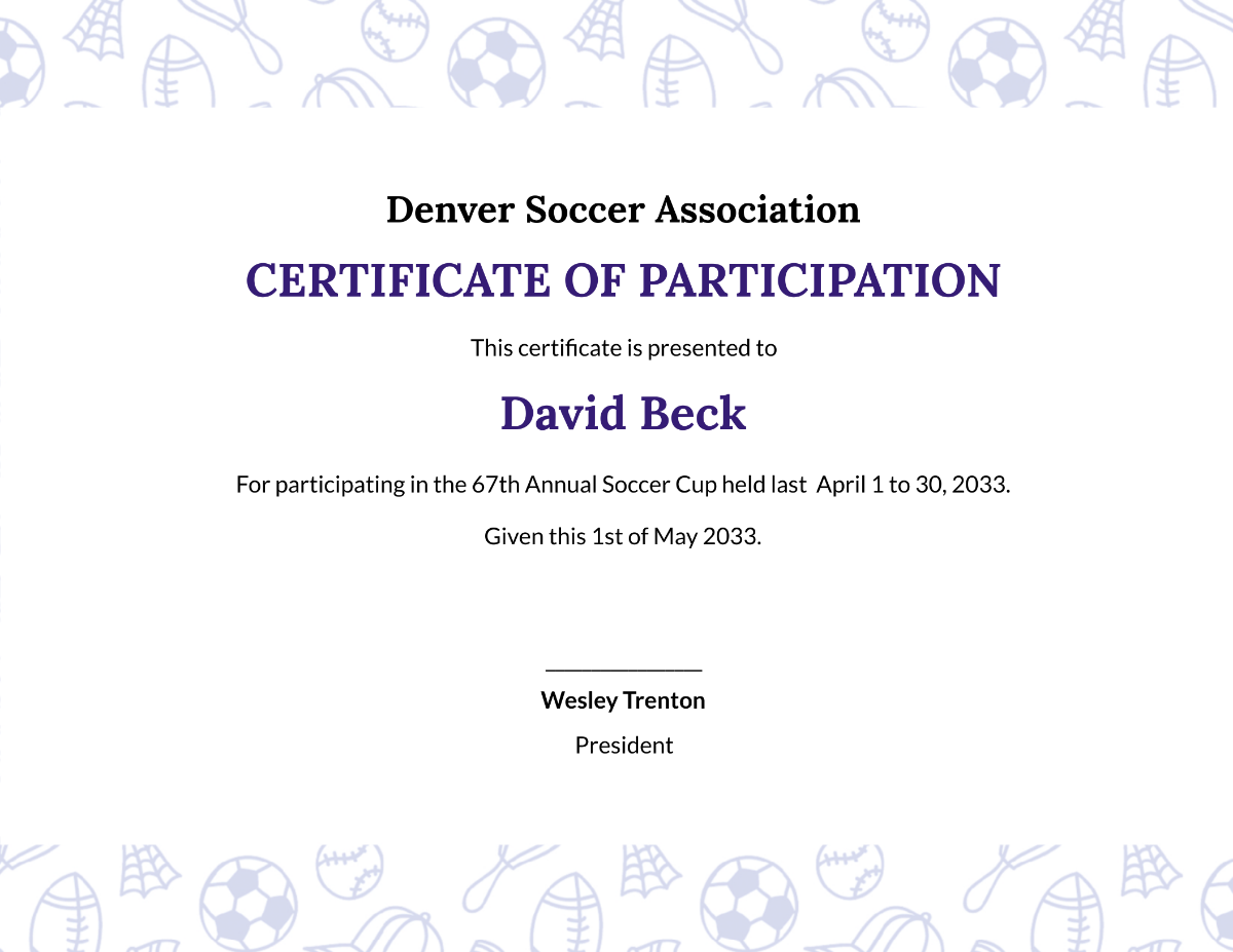 Soccer Participation Certificate