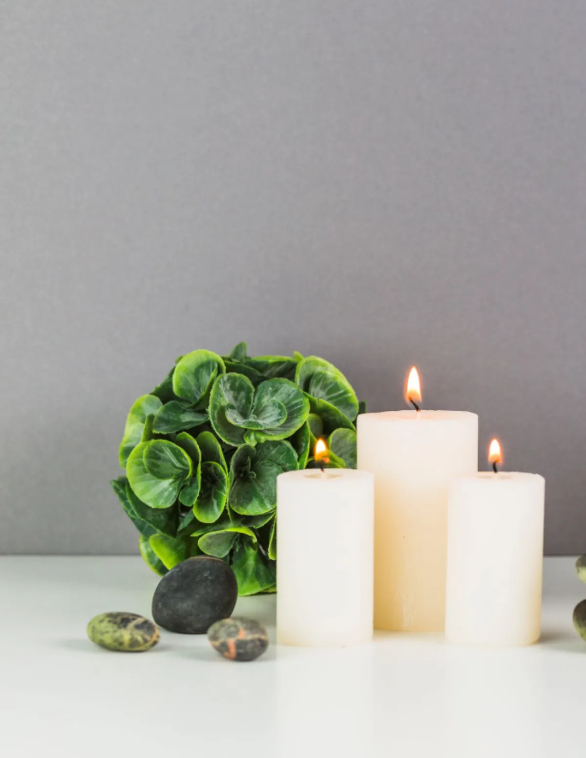 Free Basic School Magazine Template to Edit Online