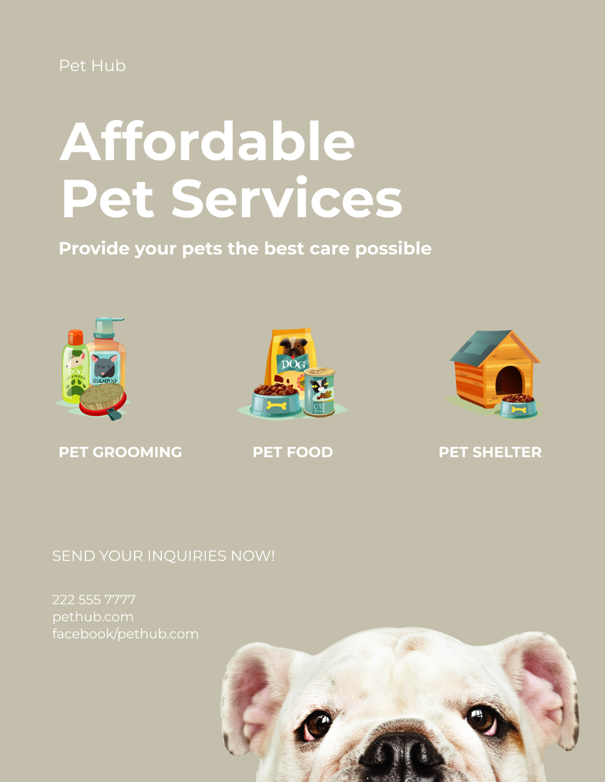 Pet Services Flyer