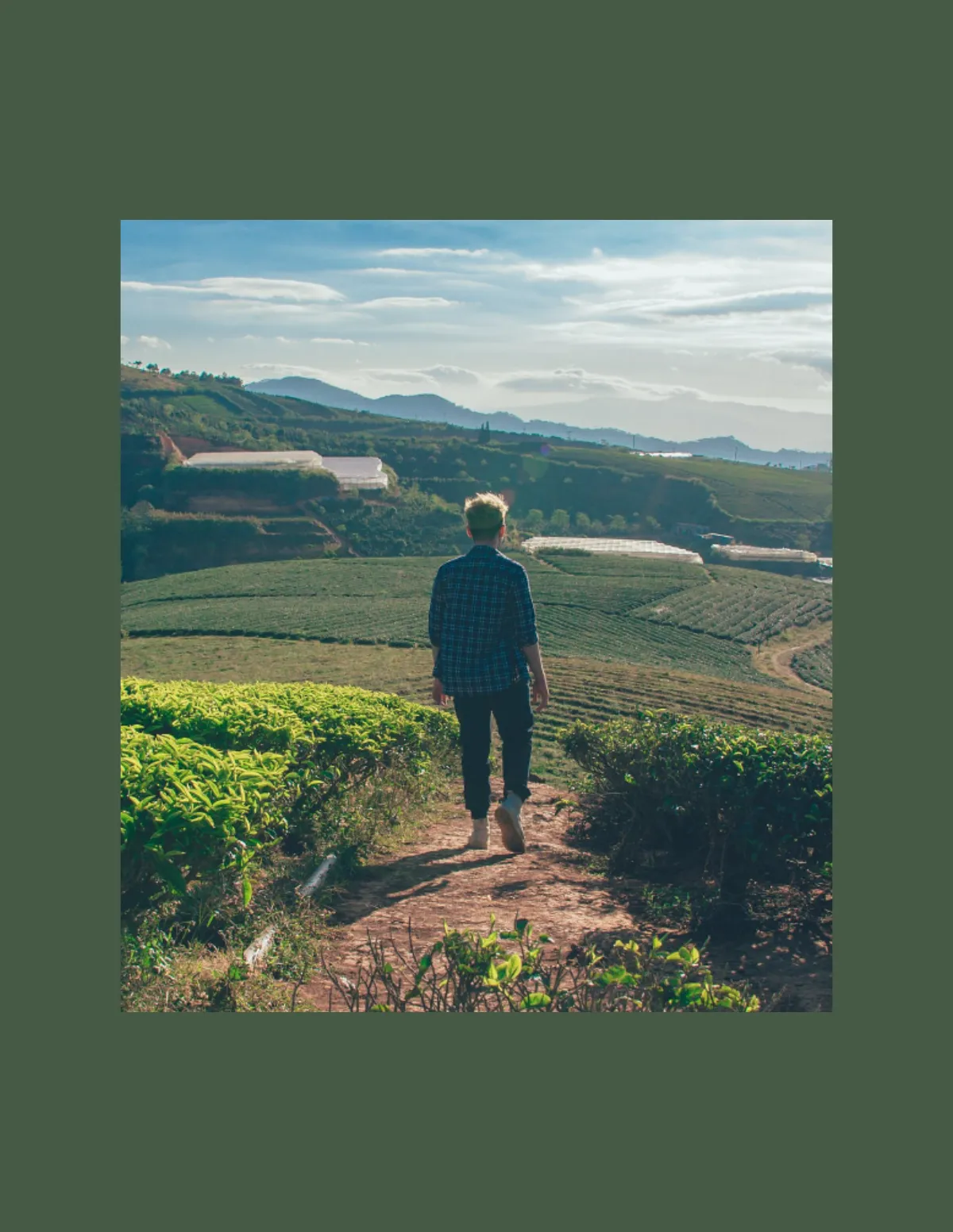 Free Agriculture Magazine Template to Edit Online