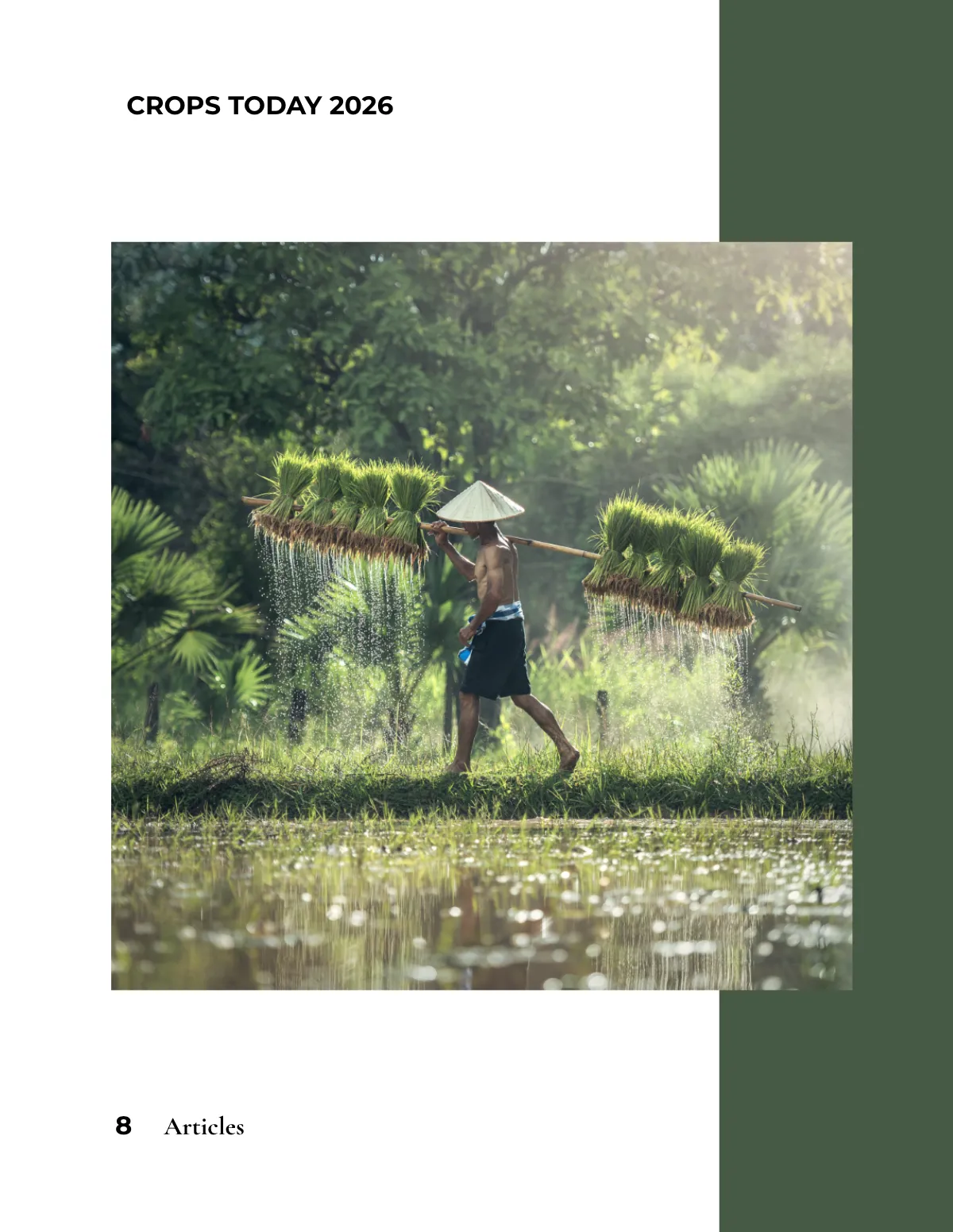 Free Agriculture Magazine Template to Edit Online