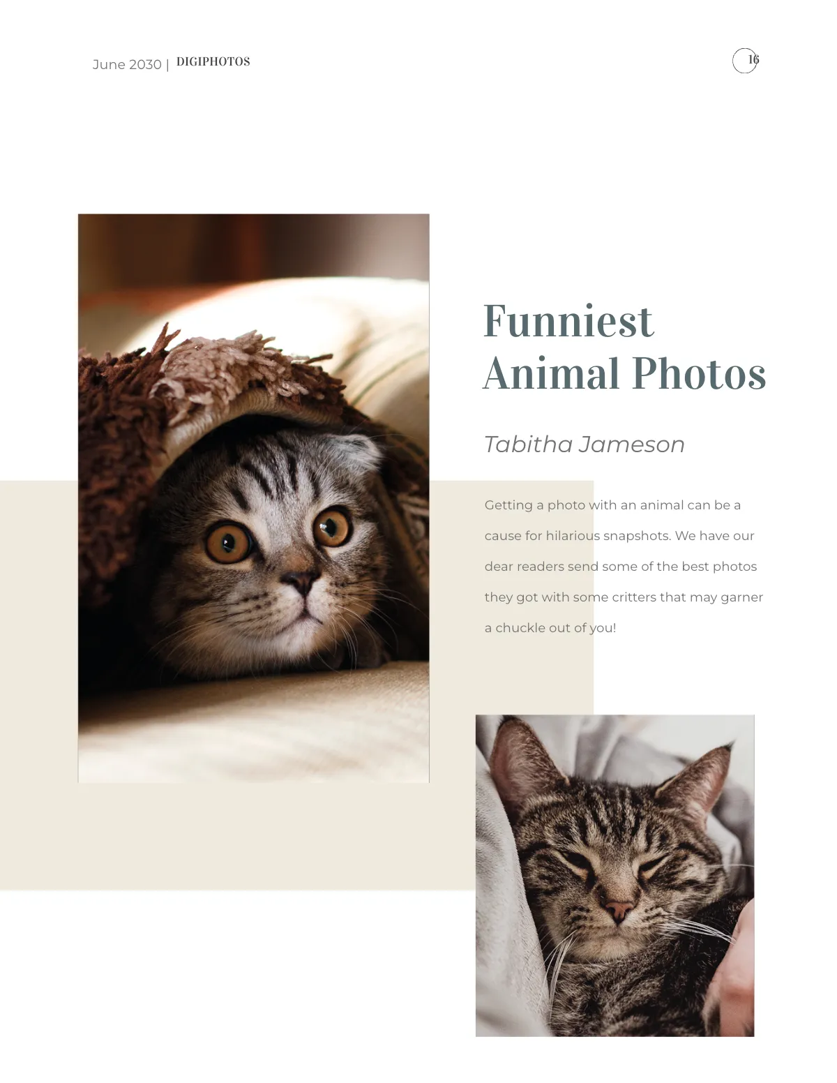 Free Photographer Pricing Magazine Template to Edit Online