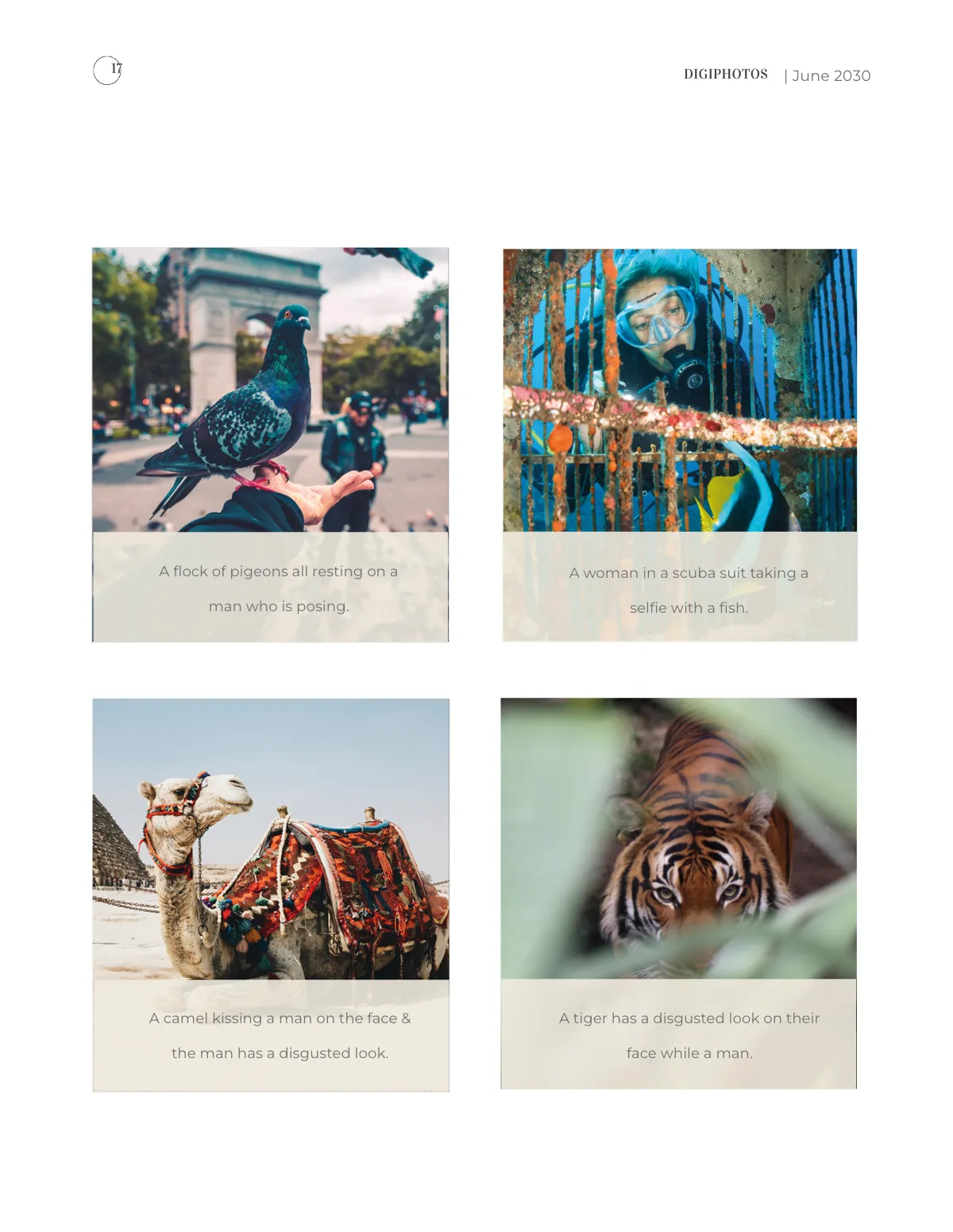 Free Photographer Pricing Magazine Template to Edit Online