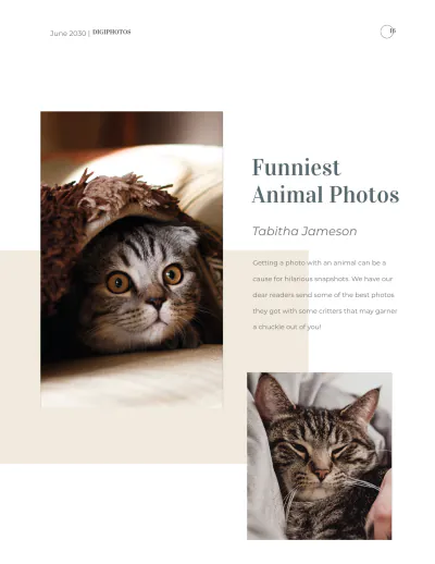 Free Photographer Pricing Magazine Template to Edit Online