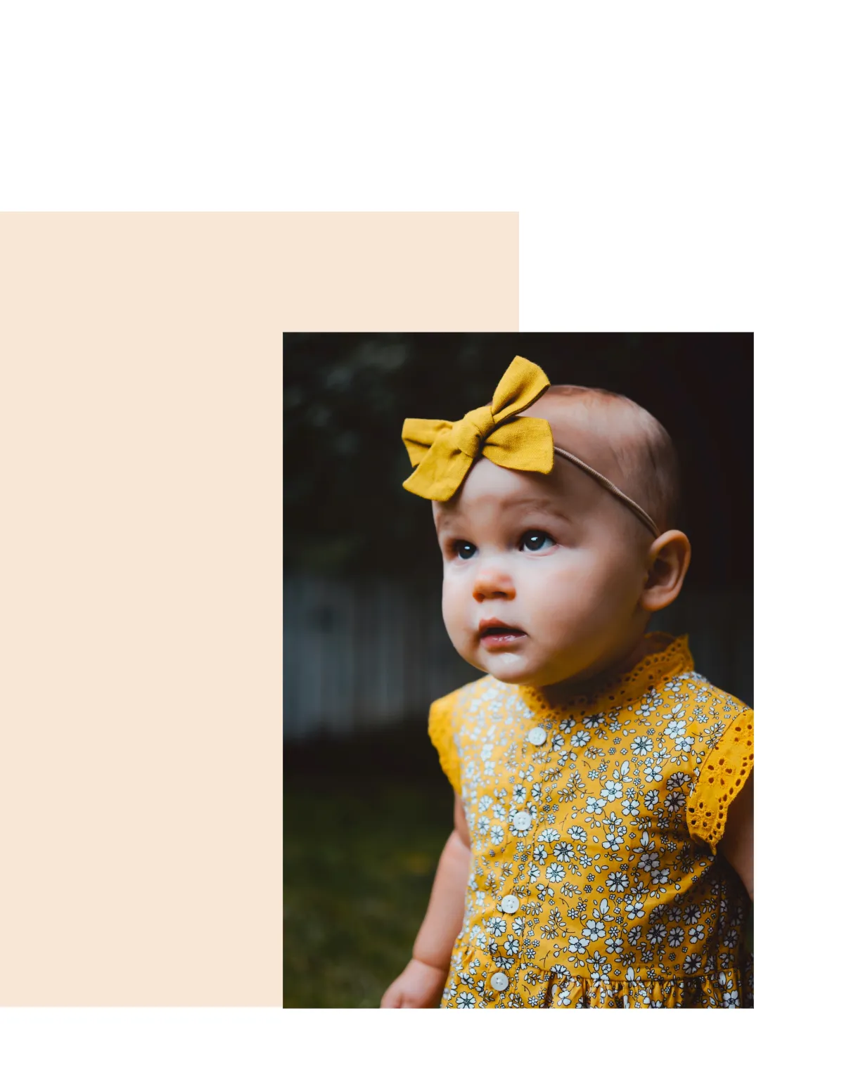 Free Newborn Photography Magazine Template to Edit Online