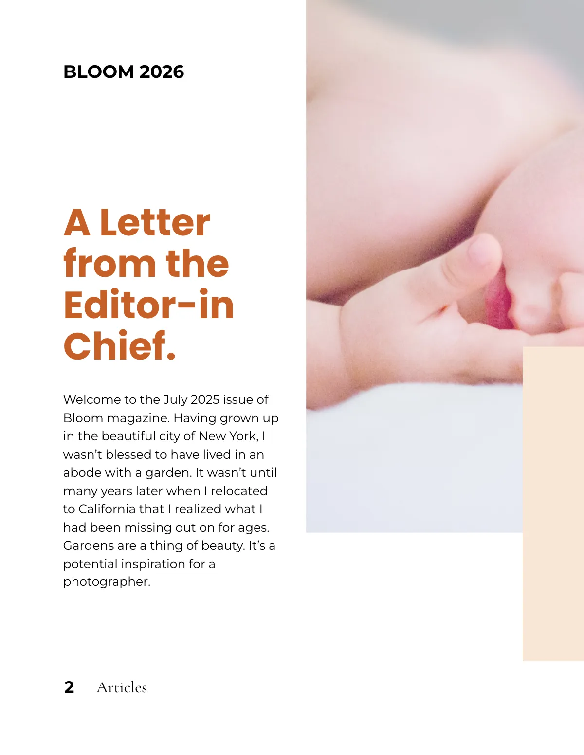 Free Newborn Photography Magazine Template to Edit Online