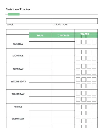 Free Online Diet Planner Template to Edit Online