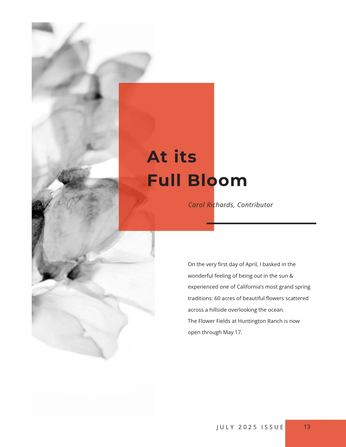 Free Modern Photography Magazine Template to Edit Online