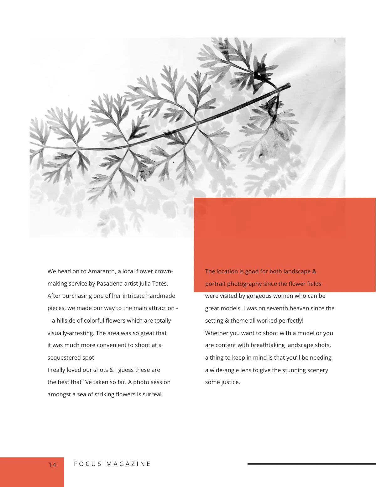 Free Modern Photography Magazine Template to Edit Online