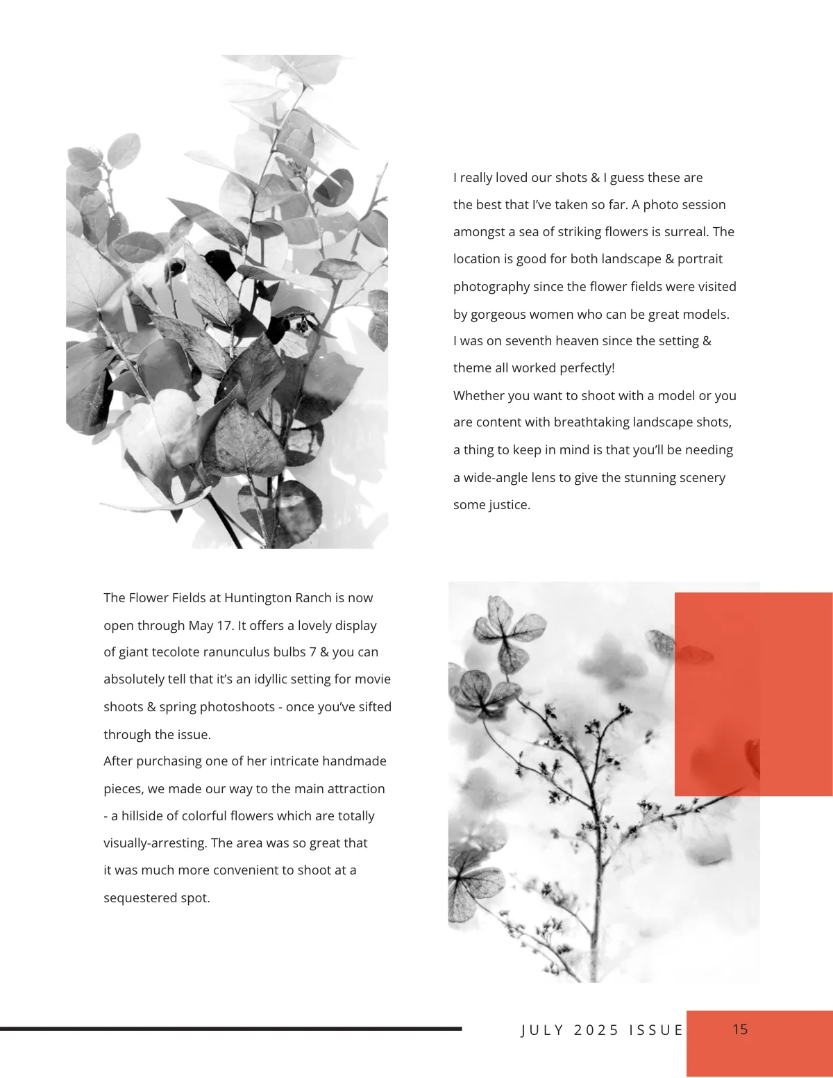 Free Modern Photography Magazine Template to Edit Online