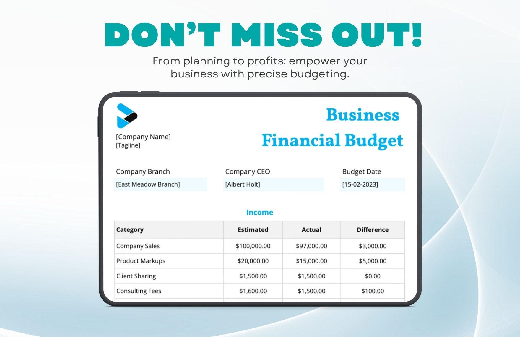 Business Financial Budget Template