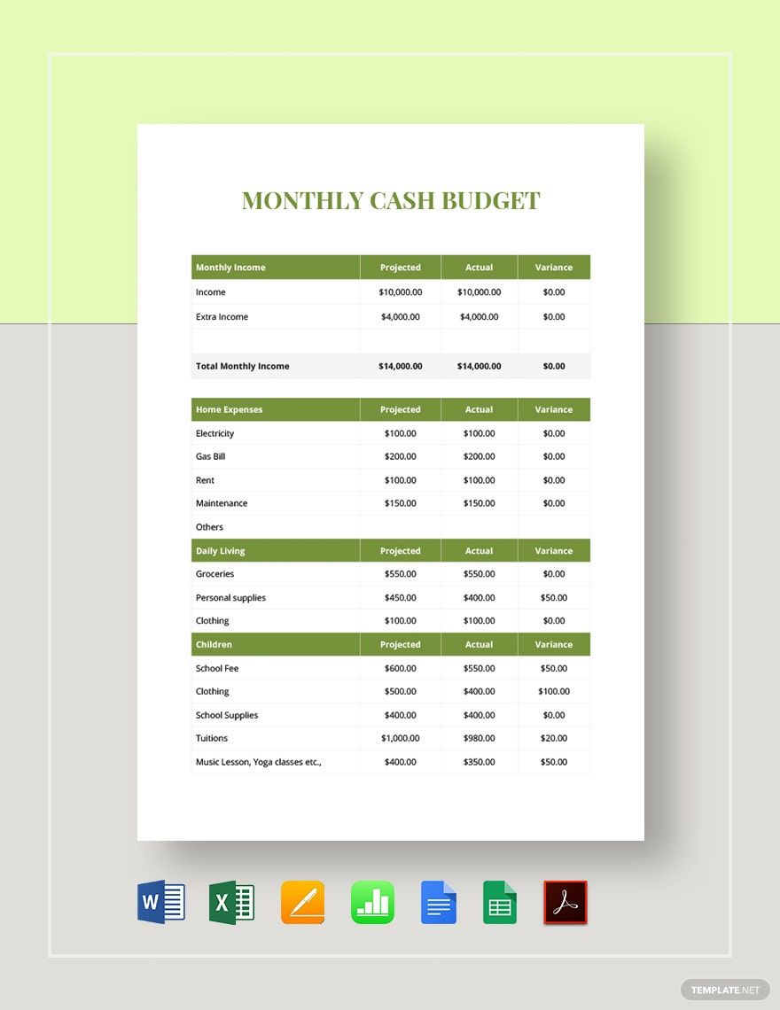 Monthly Business Budget 