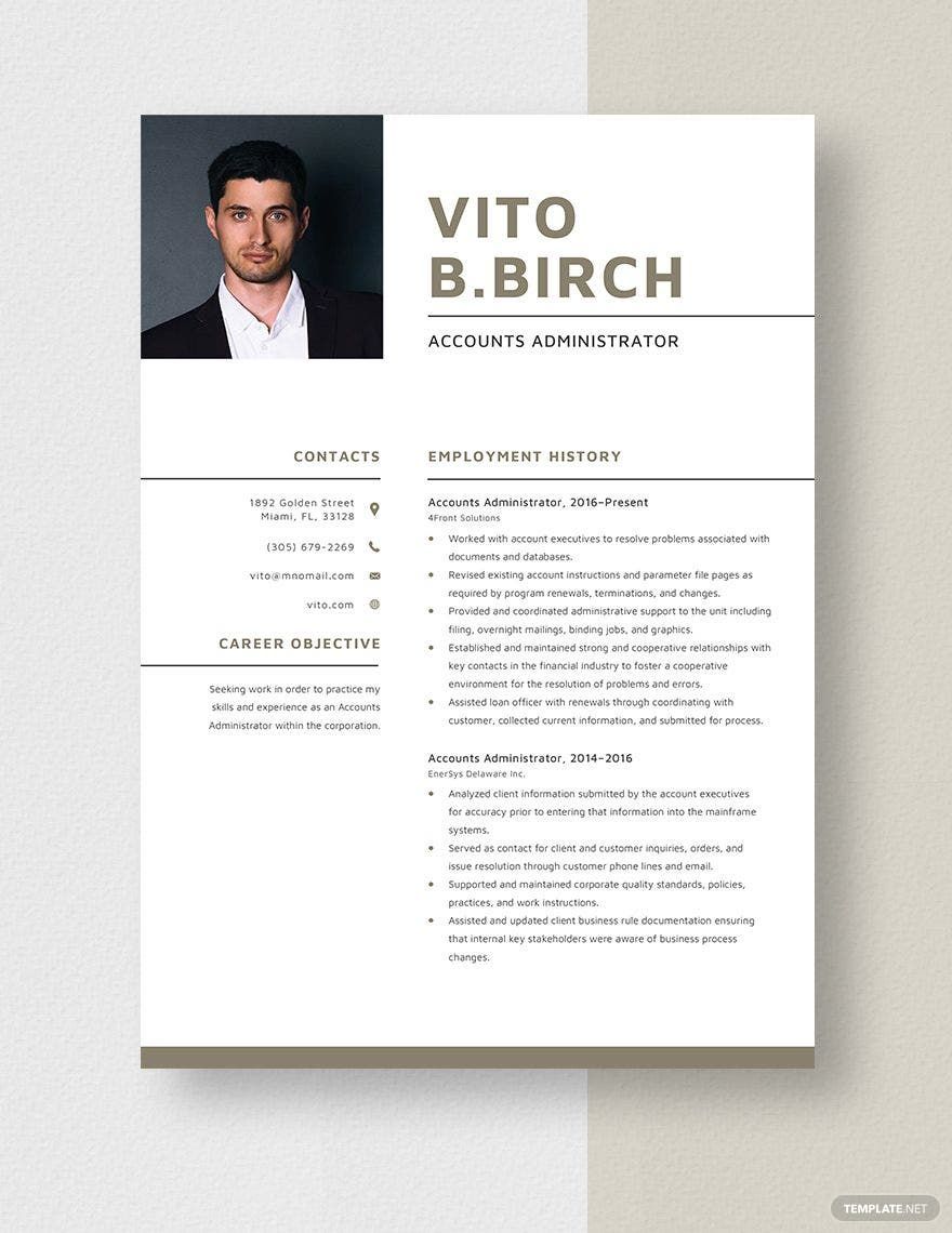 Accounts Administrator Resume Template