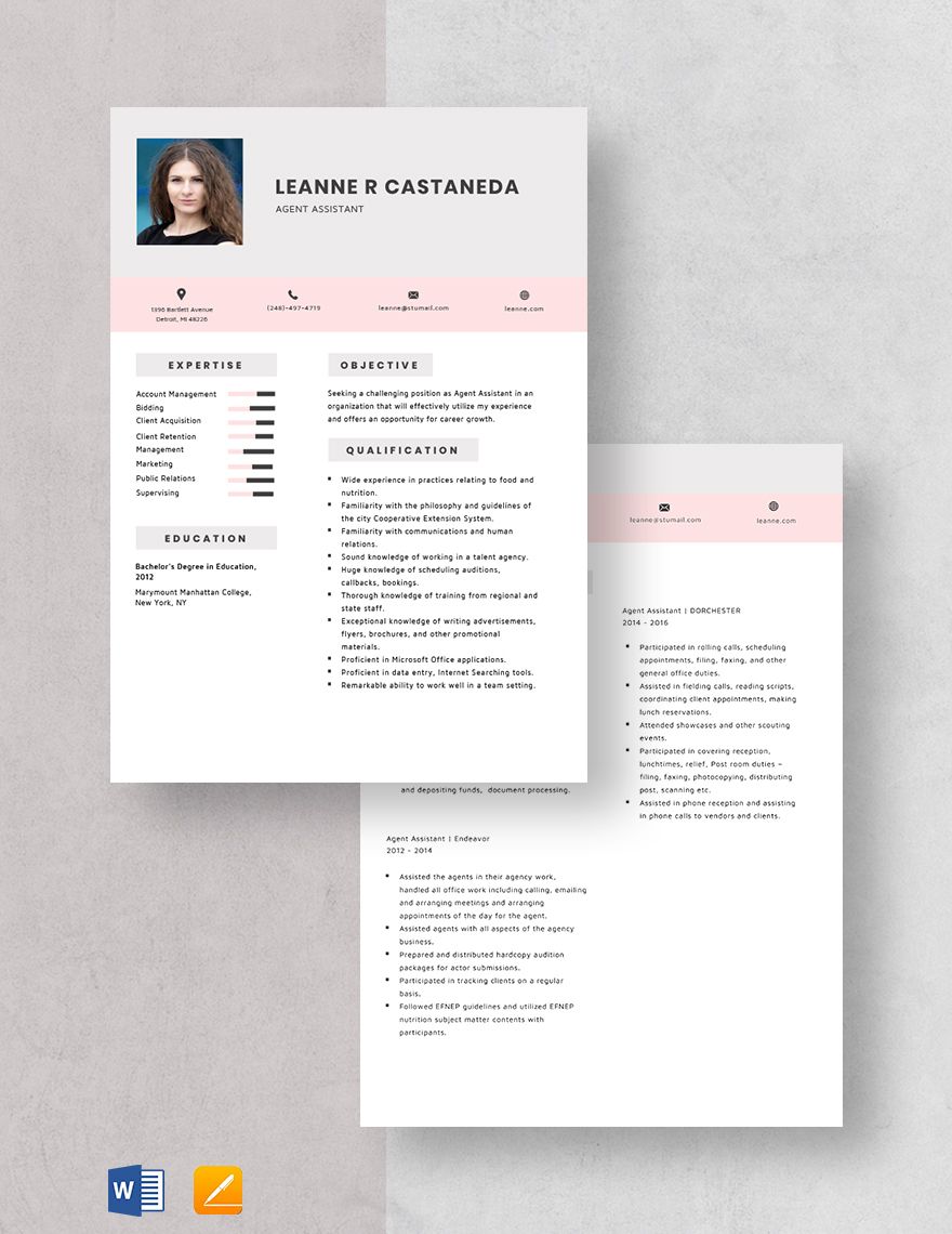 Agent Assistant Resume