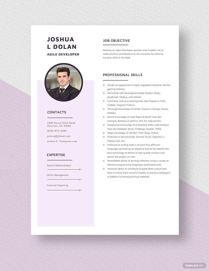 Agile Developer Resume in Word, Apple Pages