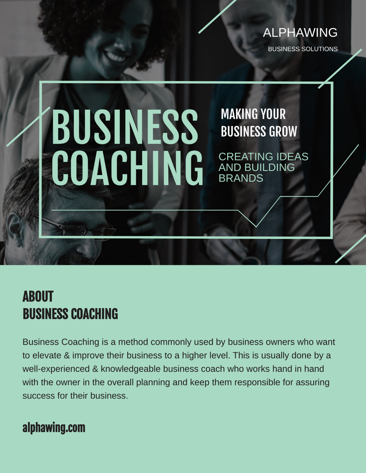 Business Coach Pamphlet