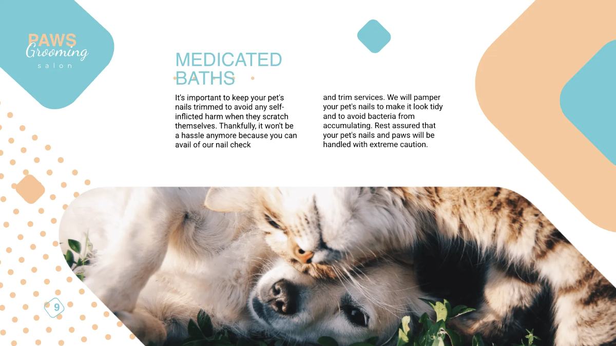 Free Pet Grooming Presentation Template to Edit Online