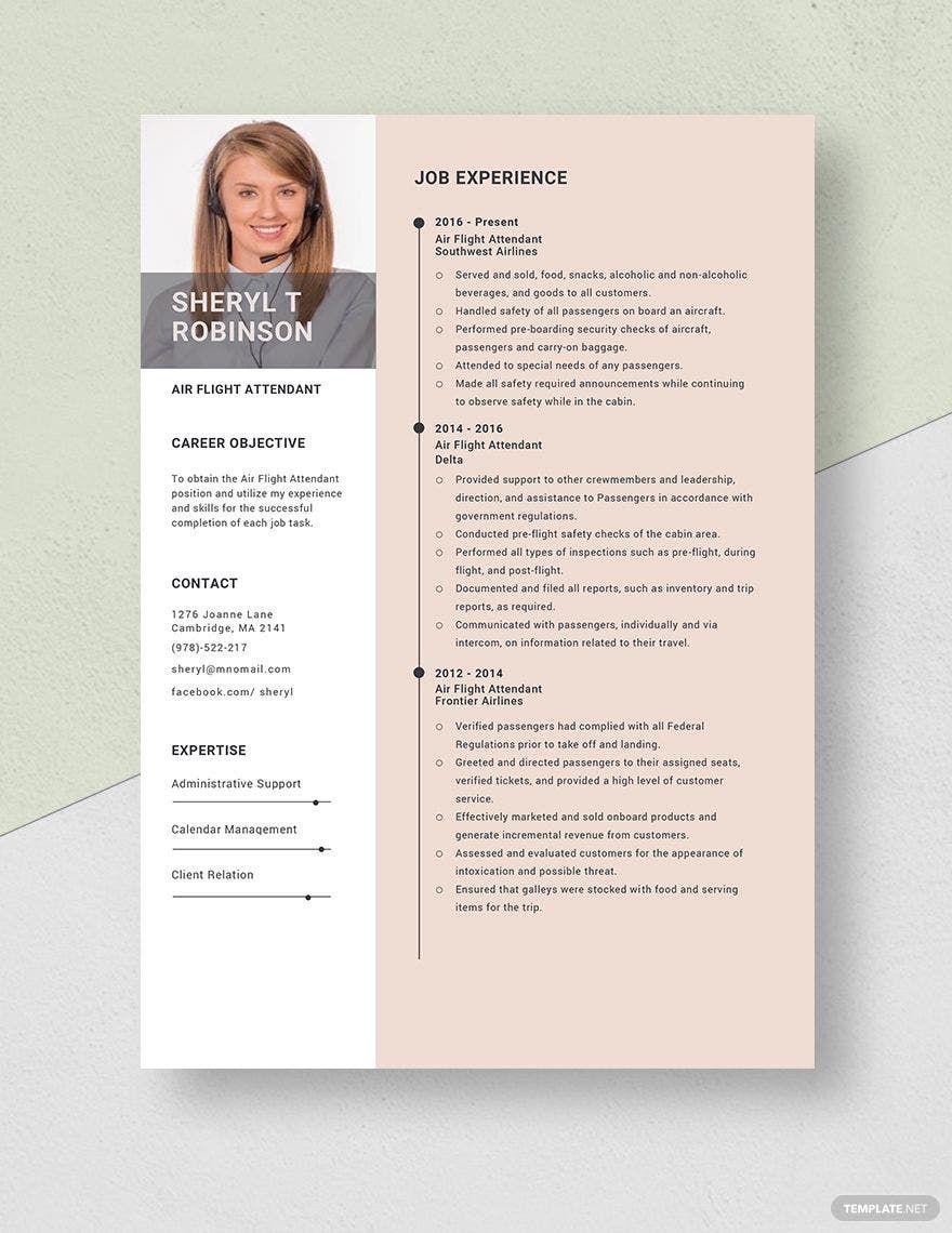 Air Flight Attendant Resume in Word, Apple Pages