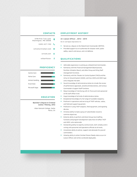 Air Liaison Officer Resume Template