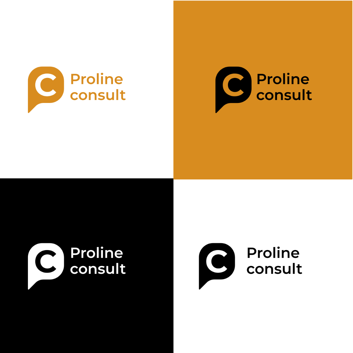 Business Consultant Logo Template