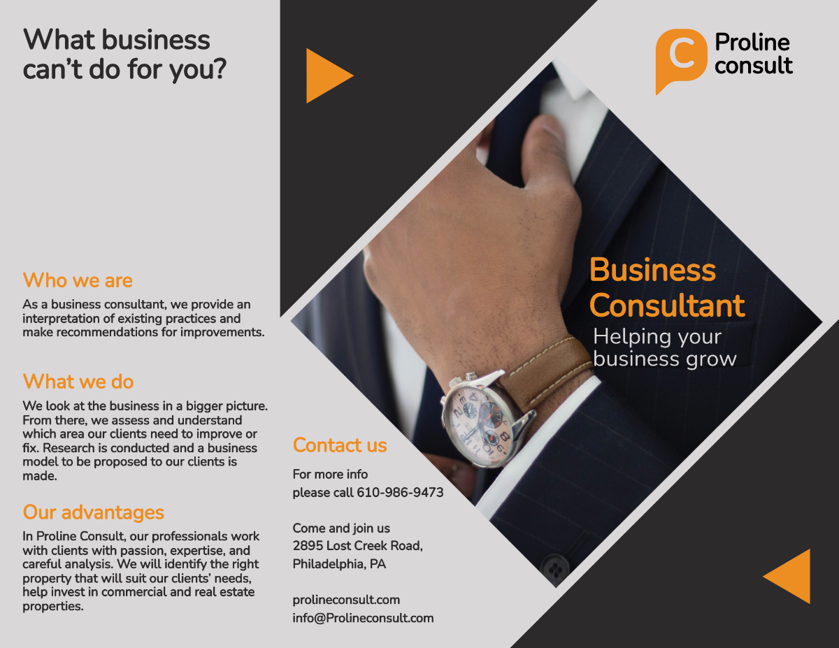 Free Business Consultant Tri-Fold Brochure Template