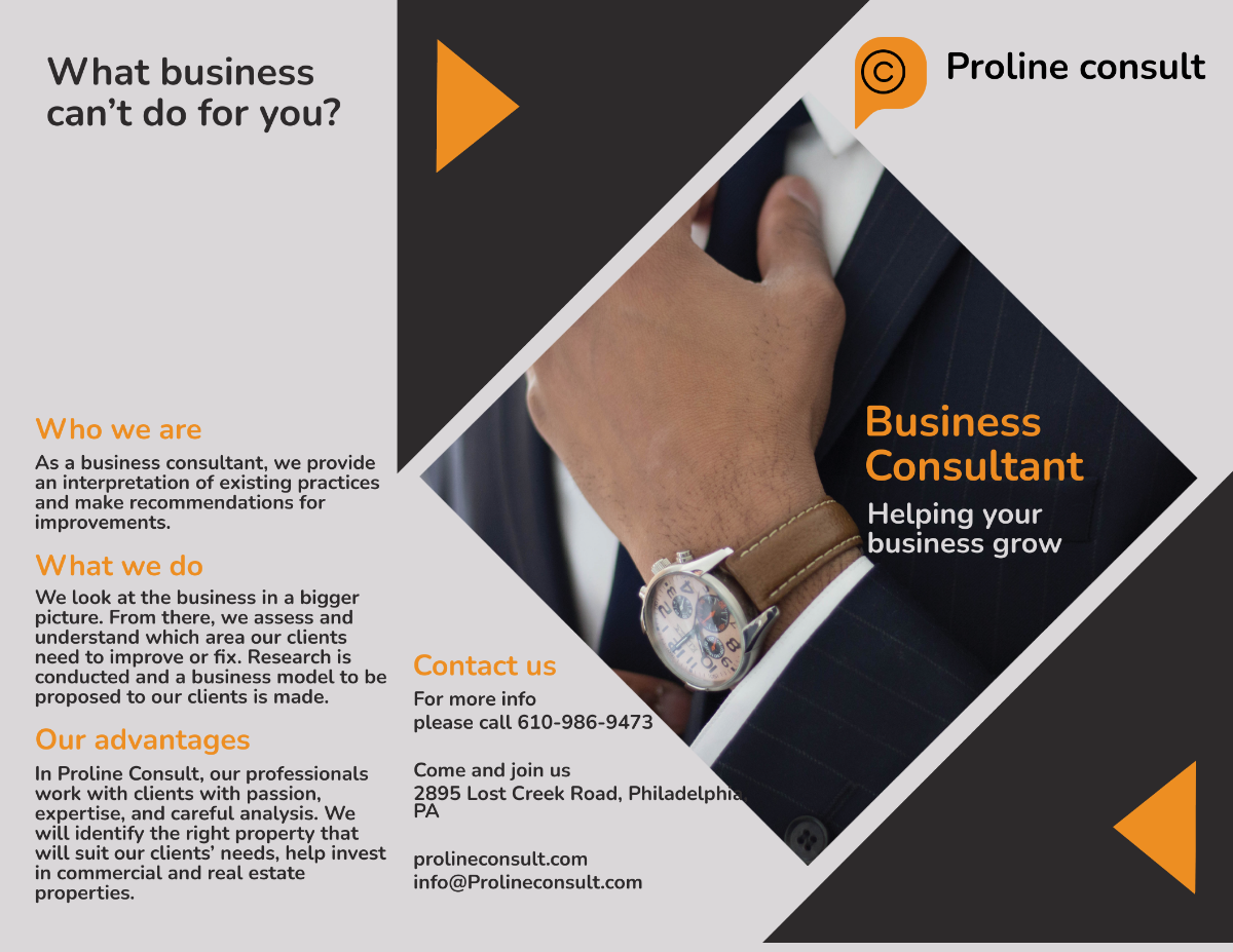 Business Consultant Bi-Fold Brochure Template - Edit Online & Download