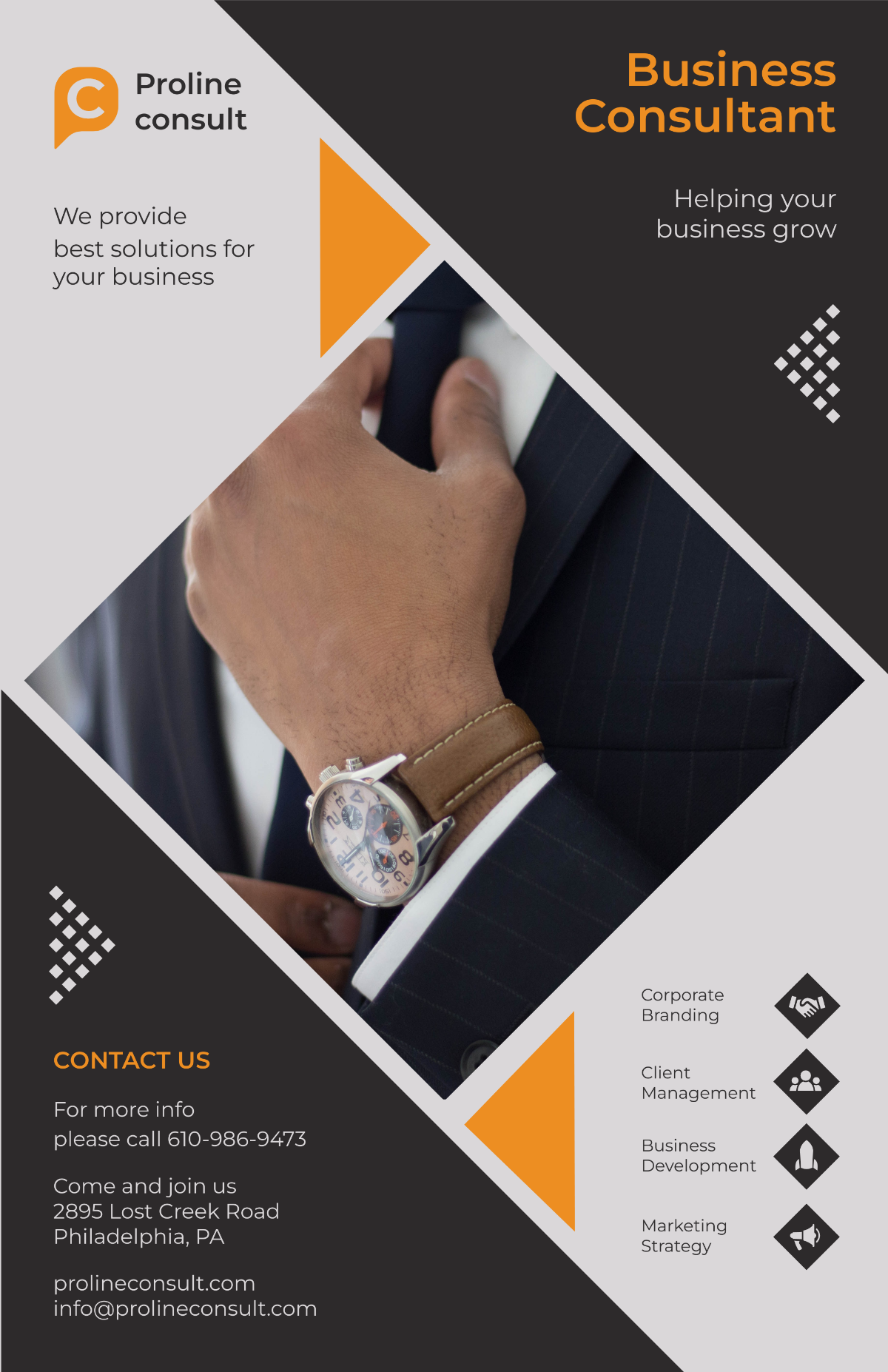 Business Consultant Poster Template
