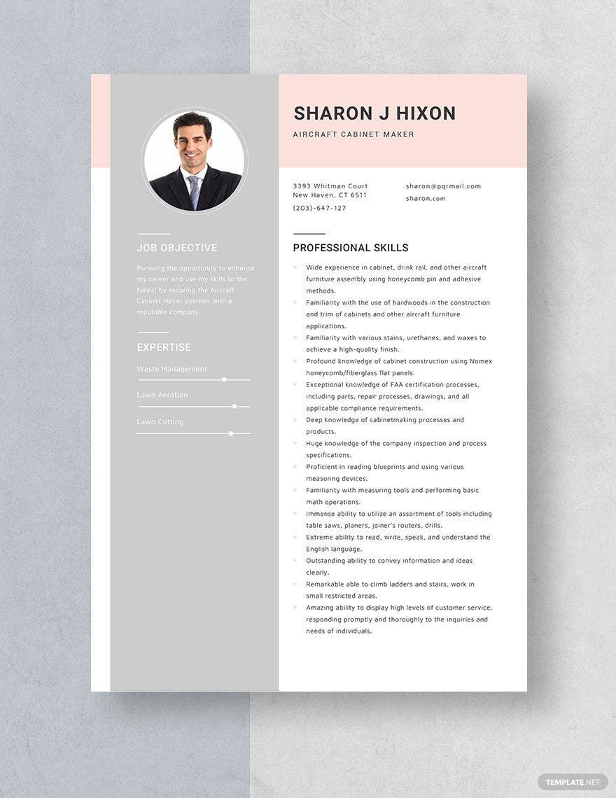 Free Aircraft Cabinet Maker Resume