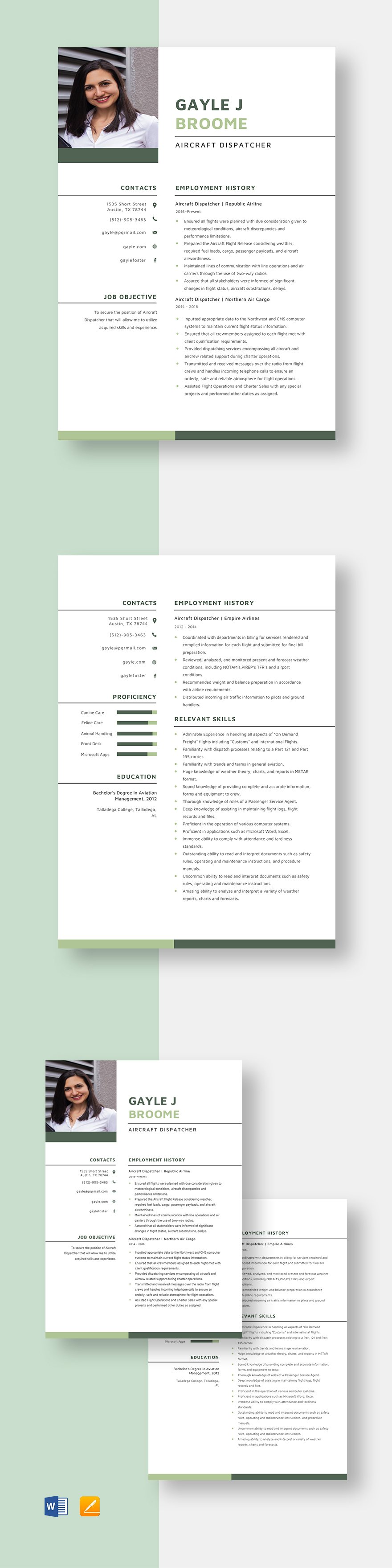 Aircraft Dispatcher Resume Template - Word, Apple Pages | Template.net