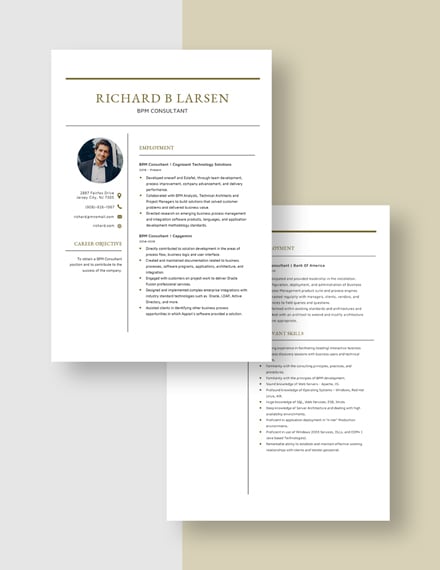 bpm consultant resume