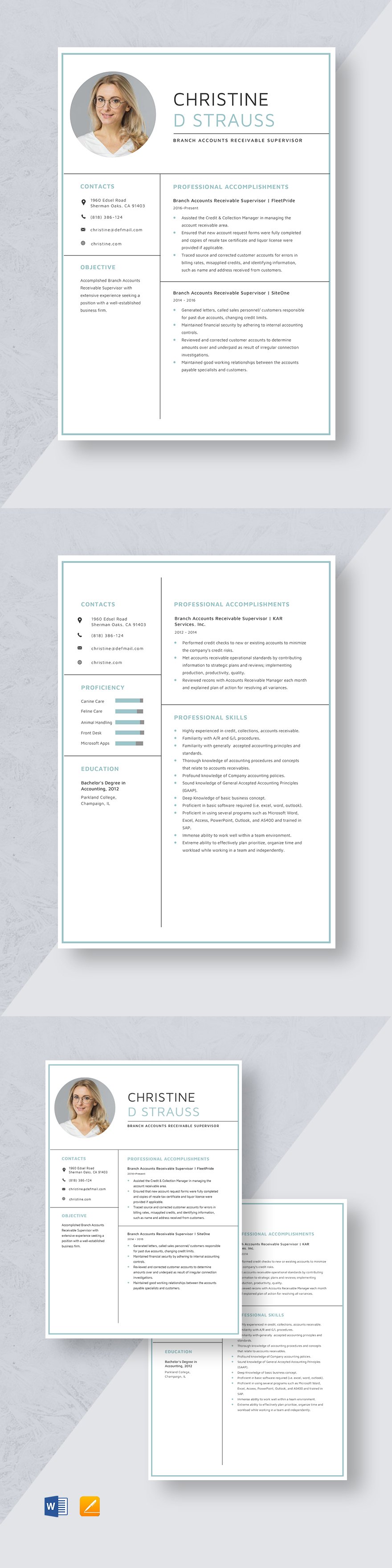 Free Branch Accounts Receivable Supervisor Resume Template