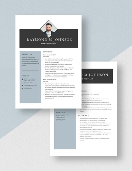 Brand Assistant Resume Download