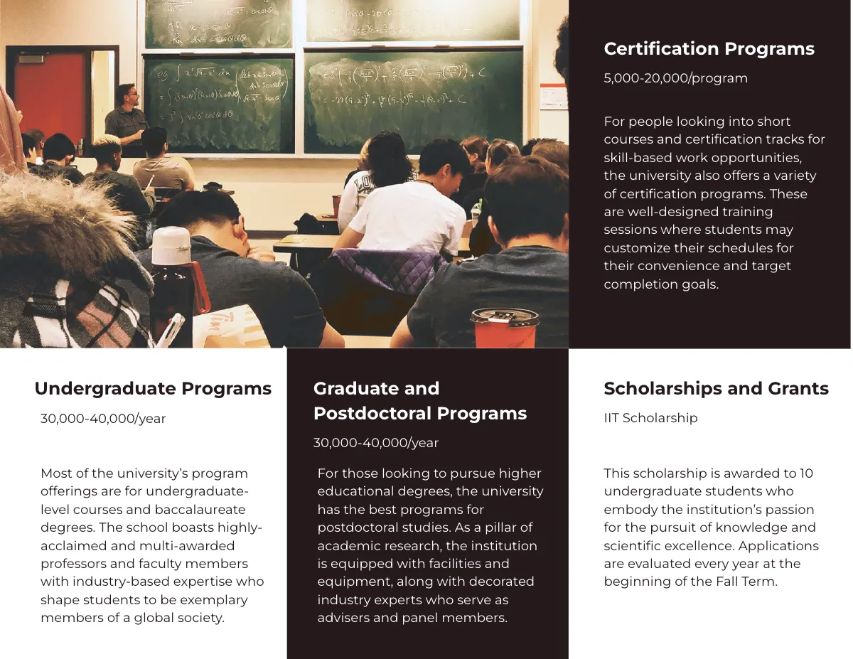 Free Tri-Fold University Studies Brochure Template to Edit Online