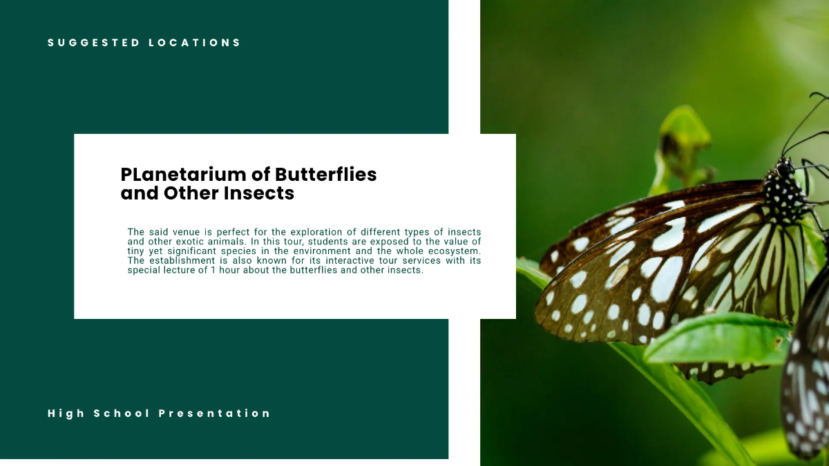 Free High School Presentation Template to Edit Online