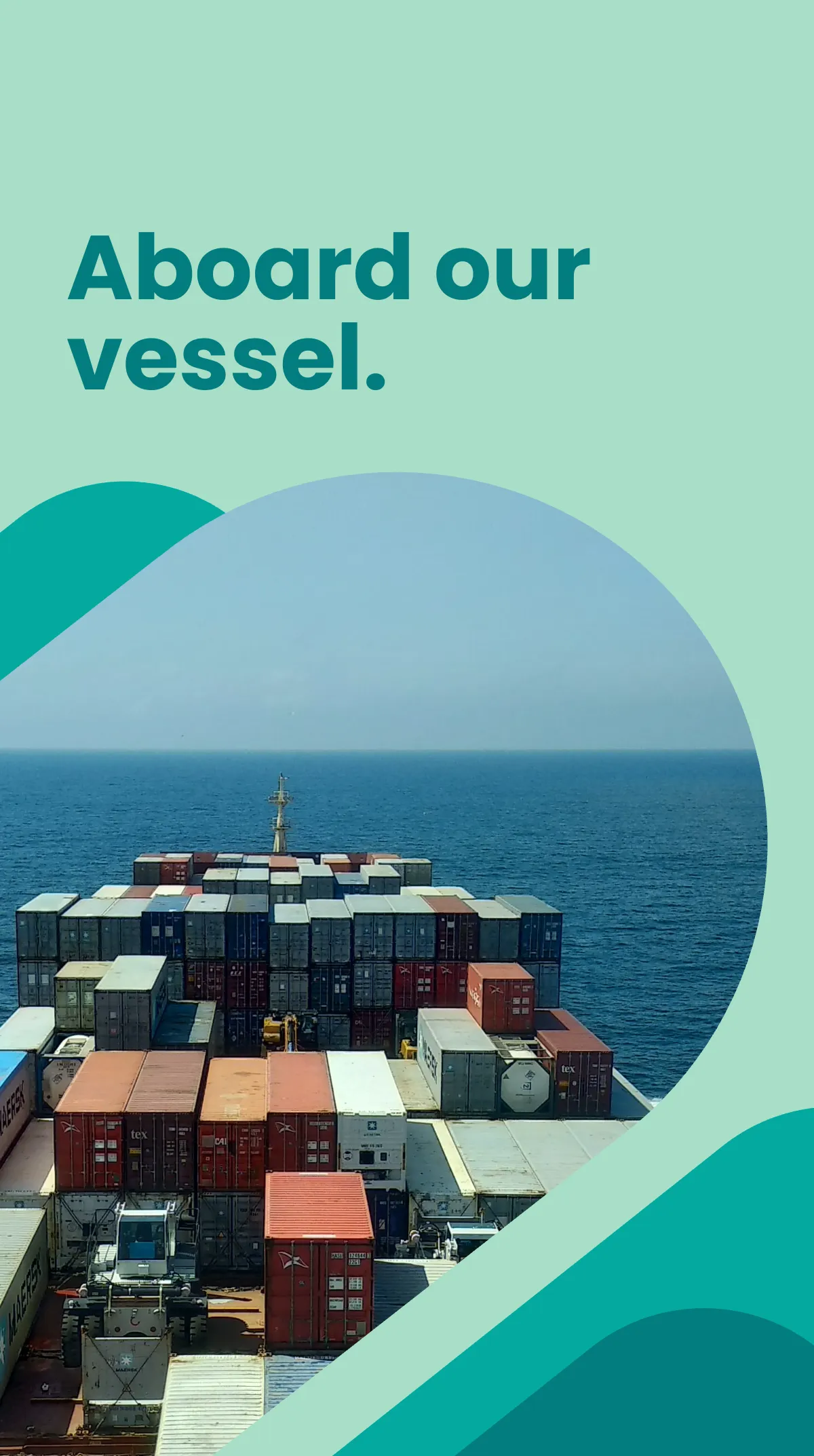 Free Shipping Instagram Story Template to Edit Online